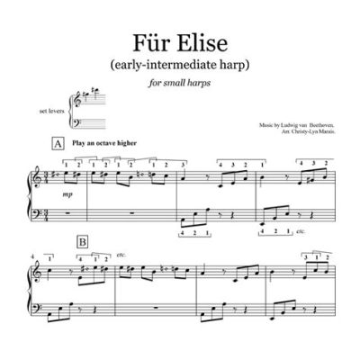 Für Elise - Một tác phẩm nhỏ chứa đựng cả sự lạc quan và nỗi buồn man mác